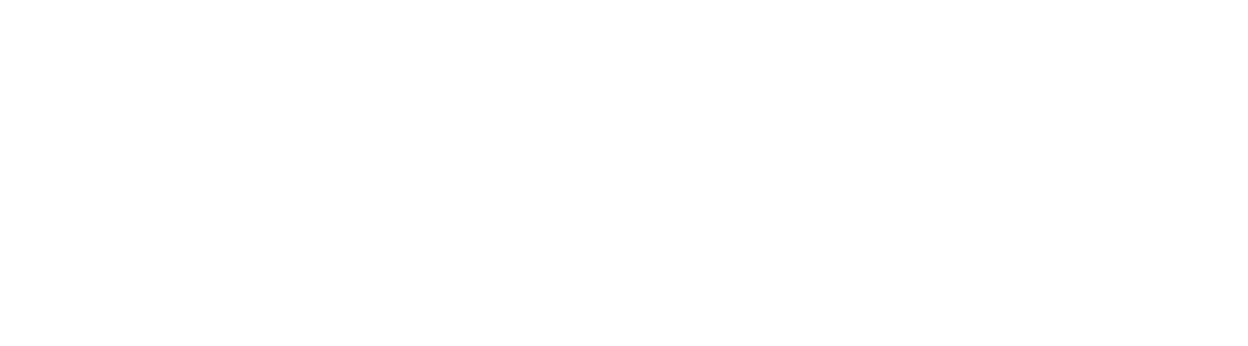 BrandsIdent Logo